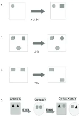 Figure 1. Schematics of recognition memory tests. 