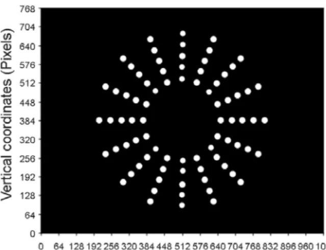 Figure 1.  Spatial  location  of  the  40  pairs  of  points  (endpoints)  presented  in  the  experiment