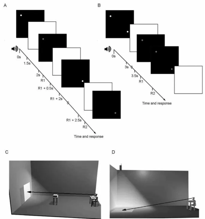 Figure 2. Experimental sequence depicting the presentation of the two endpoints (stimulus) in both the successive (A) and simultaneous (B)  tasks