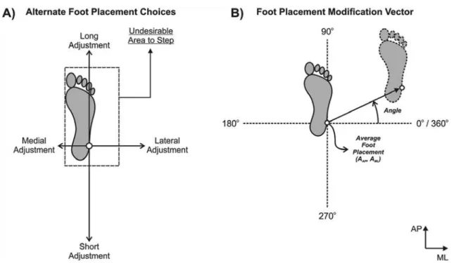 Figure 1A illustrates the normal landing position  of the right foot relative to an obstacle (i.e., dashed  rectangle) that represents an undesirable landing area or  area where stepping should be avoided