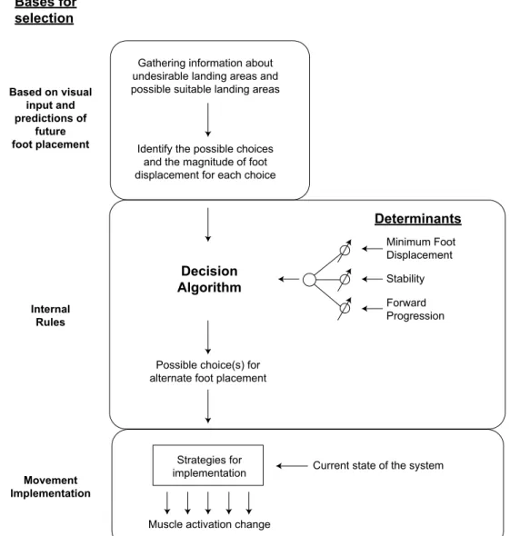 Figure 2. Alternate foot placement model that shows the bases for selection and determinants.