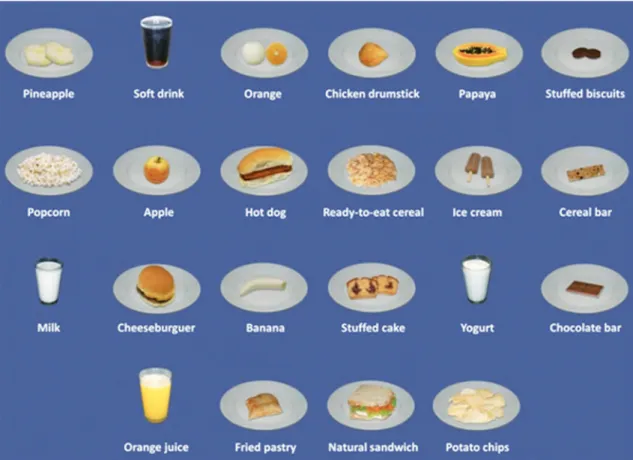 Figure 1. Food Photographs Scale. 