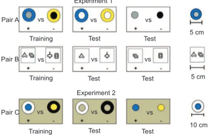 Figure 1. Stimuli used in Experiment 1 with children (Pairs A  and B) and in Experiment 2 with bees (Pair C).Two compound  stimuli (one S+ and one S-) were simultaneously displayed in  each training trial; the S+ was located on the left on half of the  tri