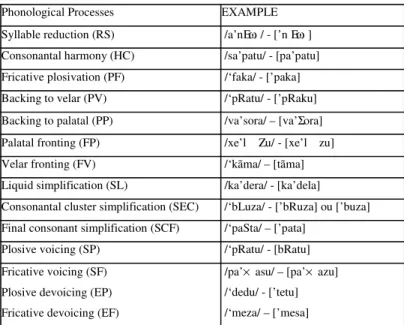 Table 2 shows the percentage of subjects who presented productive phonological processes in the imitation and naming tasks respectively