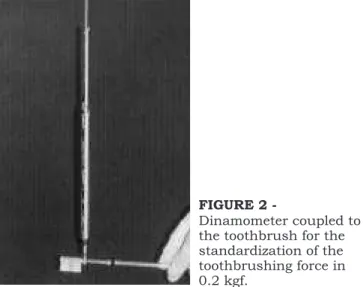 FIGURE 1 - Vinyl polysiloxane standardized base with enamel blocks positioned, by means of an orthodontic wire, in a resin-filled spot.