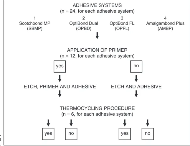 FIGURE 1 - -Experimental design.