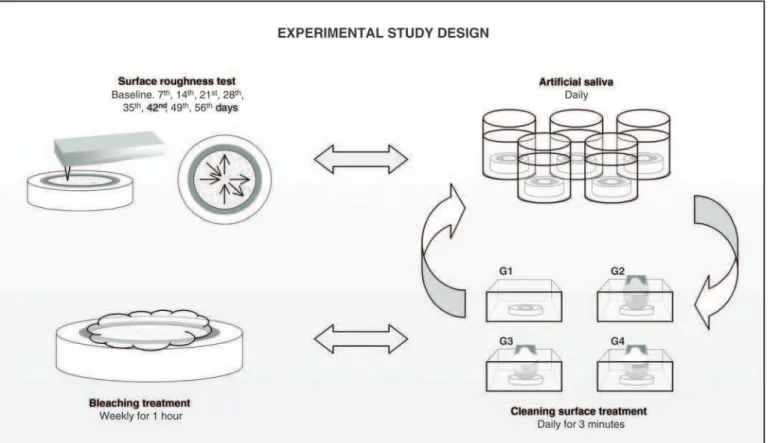 FIGURE 1 - Experimental design of the study.