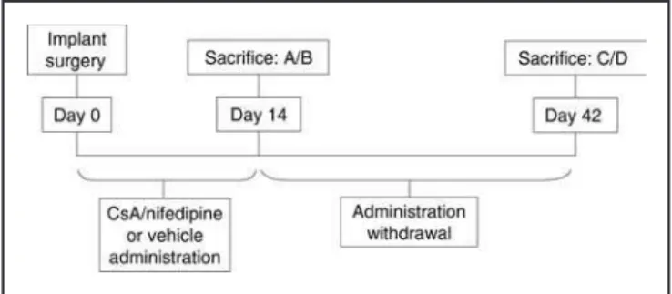 FIGURE 1 - Diagram illustrating the experimental de- de-sign.