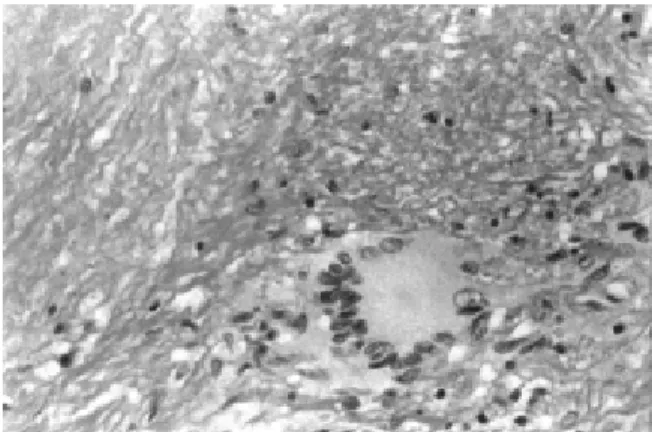 Figure 1Figure 1
