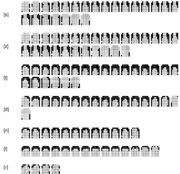 Figure 2. Sequency of palatograms showing tongue-palate contact for the studied alveolar phones from beginning to the end of the production