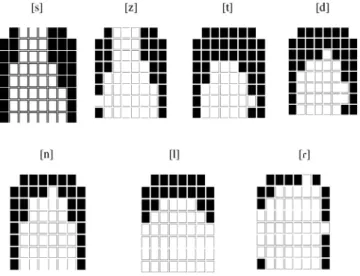 Figure 3. Alveolar phones palatograms in maximum constriction point