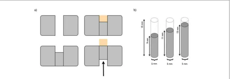 Fig. 1. Scheme of the mould for sample preparation. a) Mould and preparation of CRM sample; b) Sticks of mould material defining the sample thickness.