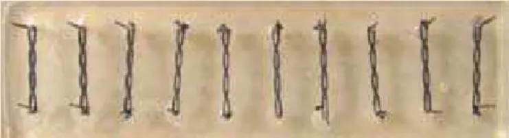 Fig. 1. Plate with metal posts and elastic chains in position.