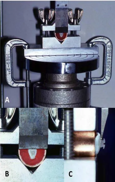 Fig. 2. SBS apparatus. A: Specimen secured in a vise clamp onto the load cell; B: