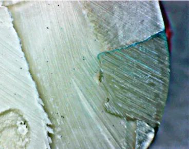 Fig. 4 - Image representative of score 3 (dye penetration to and the axial wall).