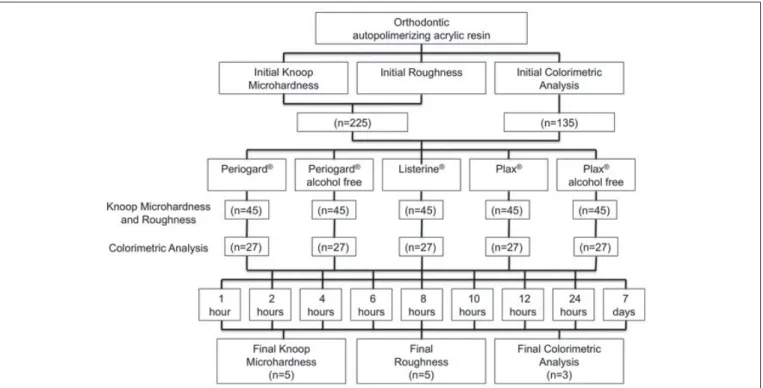 Fig. 1. Flowchart of the study methodology.