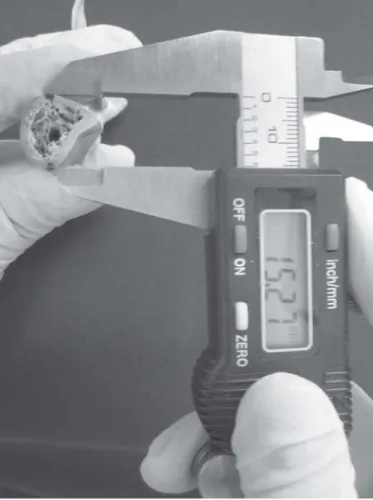 Fig. 3. Direct measurement in the mandible section.