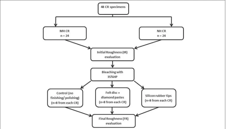 Fig. 1. Flowchart of the experimental design of the study.