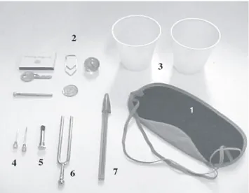 Figure 3. Sensitivity evaluation kit: 1- blindfold; 2- material for evaluating stereognosis: matchbox, key, screw, paper clips, coin and small ball; 3- different cups for temperature test; 4- sharp-pointed object;