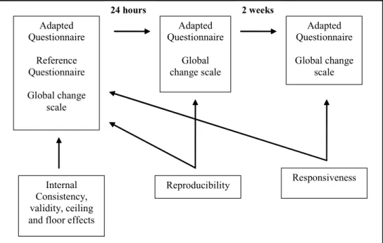 Figure 1. Example design for psychometric evaluation of an adapted questionnaire.