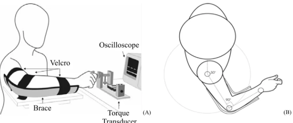 Figure 1.  (a) Experimental settings including the lateral pinch torque task and the mechanical constraint (brace) at 90 o  of elbow lexion