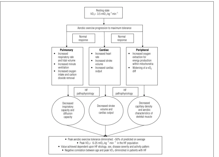 Figure 1. Illustration of central and peripheral physiological adaptations from rest to maximal aerobic exercise and the impact of heart failure.
