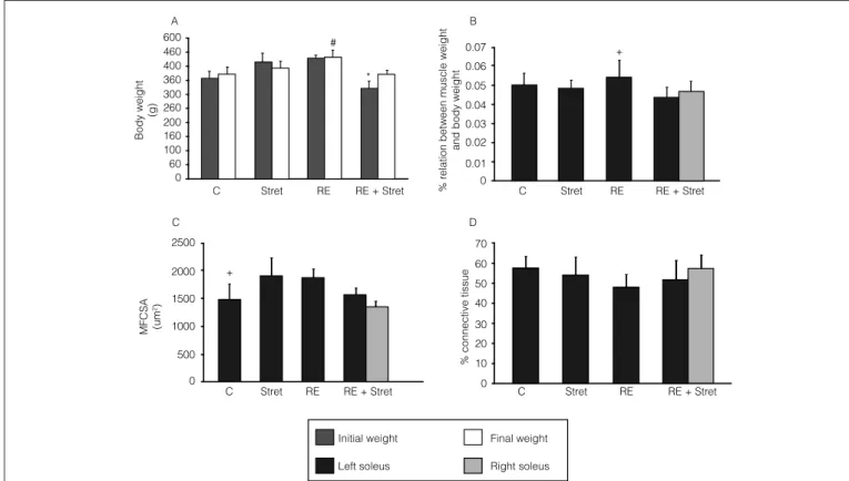 Figure 1. Effect of stretching and resistive exercise in the body weight and in the radial analyses of the rat soleus muscle.Initial weight2500CDBAMFCSA(um2)