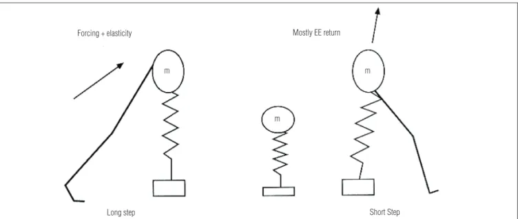 Figure 9. Hemiplegic gait; ‘the pendulum and the pogo stick’ (Fonseca et al.72). Spring represents the action of the affected limb while the stick  represents pendulum action