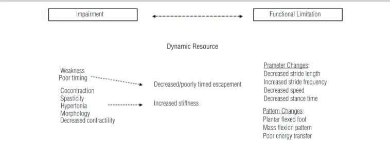 Figure  6.  Understanding  the  relationship  between  impairment  and  functional  limitations  (activity  limitations)  or  pattern  through  a  dynamic  interpretation