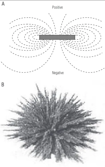 Figure 1.  Representation of a bipolar static magnet. A: Bipolar disc- disc-shaped magnet (lateral view) with field lines projecting from the negative  pole and entering the positive pole
