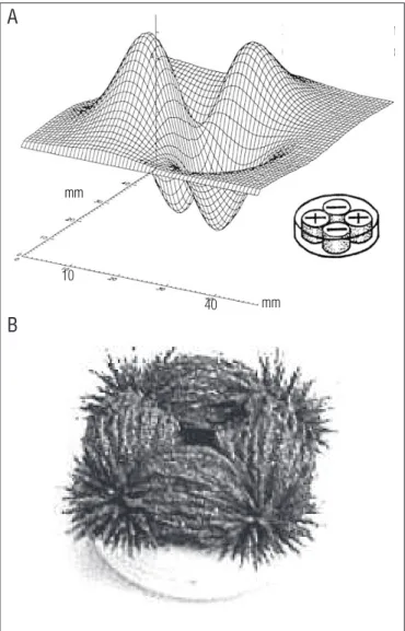 Figure 2. Representation of a quadripolar magnetic array. A: Field map  of  a  quadripolar  magnetic  array