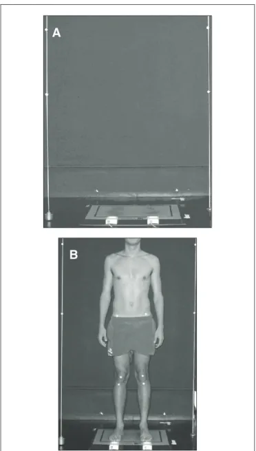 Figure 1.  Environment for assessment and capture of previous view  image, concomitant with plantar pressure