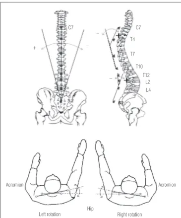 Figure  3.  Schematic  representation  of  the  biomechanical  model  (Adapted from Rodacki et al