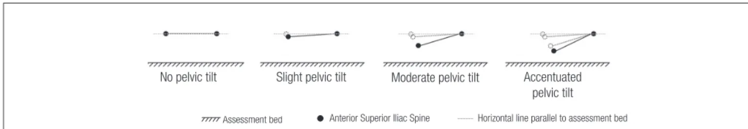 Figure 2. Rater’s judgment of pelvic position on the qualitative analysis.