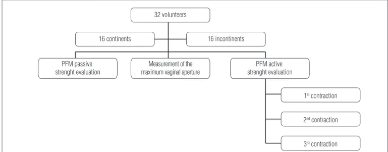Figure 2. Flowchart with the three steps of the study. 