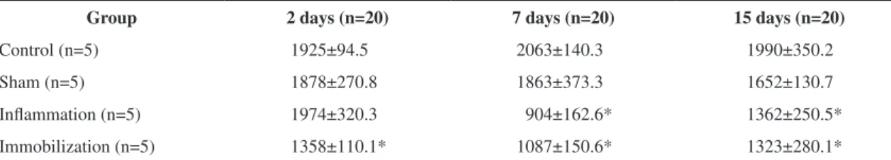 Table 1. Muscle fiber cross-sectional area (µm 2 ) in the soleus muscle at 2, 7, and 15 days.