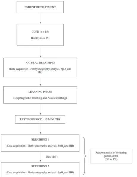 Figure 1. Experimental protocol.