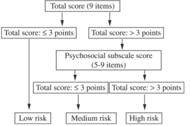 Figure 1. SBST scoring system 12,14,18 .