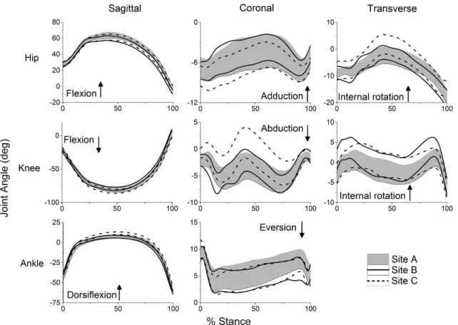 Figure 1. Time series for hip, knee and ankle angles time-normalized to 100% of stance