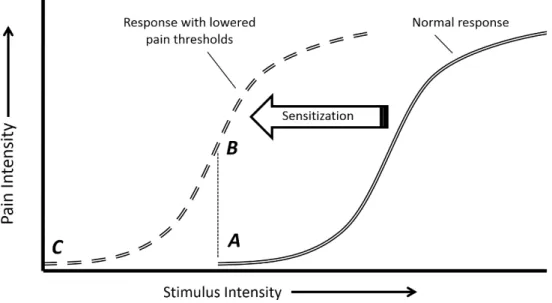 Figure 1. Hypothesized sensitization process. The normal response curve (double line) portrays the relationship between pain perception  and stimulus intensity