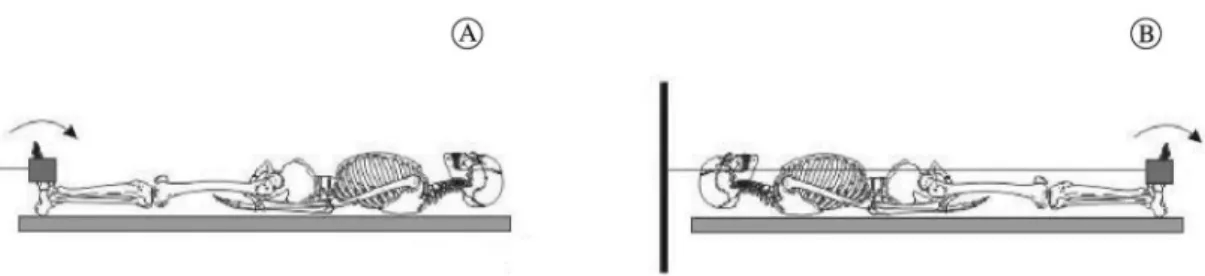 Figure 2. Schematic representation of the ankle during the perceived force level test