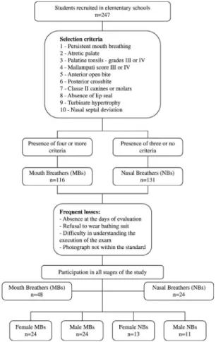 Figure 1. Flowchart of sample screening and inal group composition.