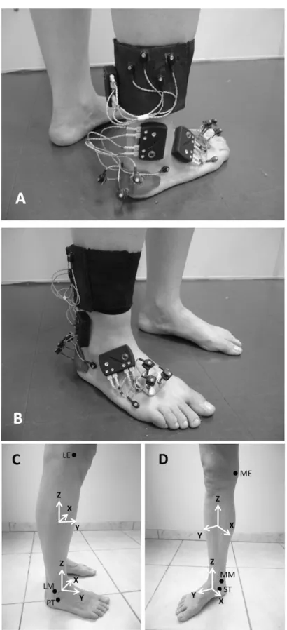 Figure 3. Clustered active tracking markers (A and B), coordinate systems of the segments, and anatomical references (black circles)  (C and D). Technical markers on the peroneal tubercle and ifth metatarsal head are shown, as well as the drive boxes and c