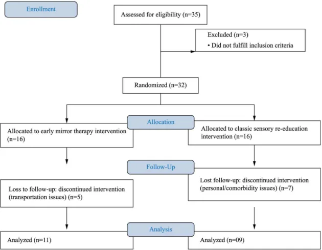 Figure 2.  Flowchart of the group randomization of the RCT.
