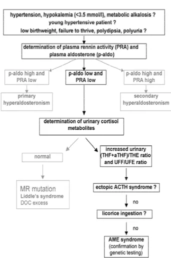 Figure 6. Flowsheet with guidelines for detecting Apparent Mineralocorticoid Excess (AME) syndrome