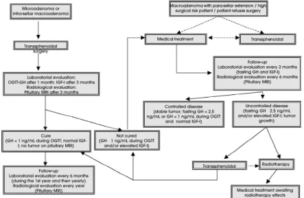 Figure 1. Algorithm for the treatment of acromegaly. Note: Dashed lines represent therapeutic approaches still not established in the literature.