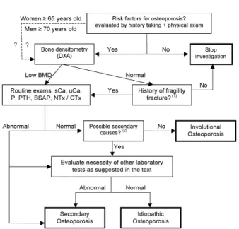 Figure 1. Strategy proposal to diagnosis osteoporosis.