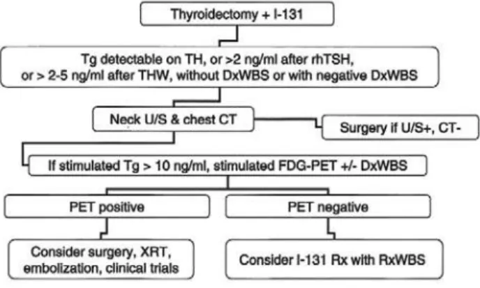 Figure 2. Potential FDG-PET algorithm for clinical practice.