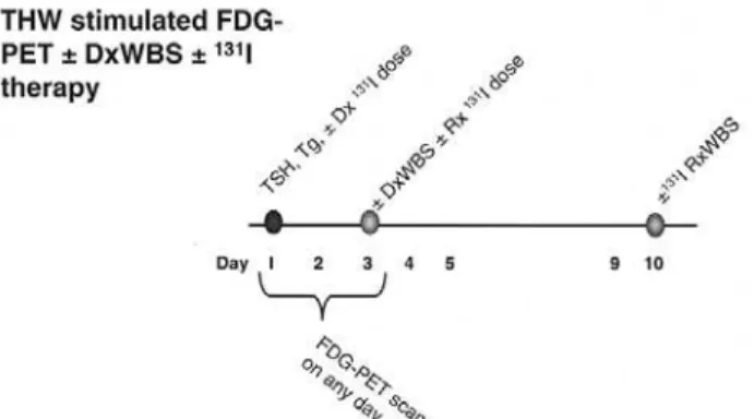 Figure 4. Hypothyroid FDG-PET protocol with optional DxWBS and