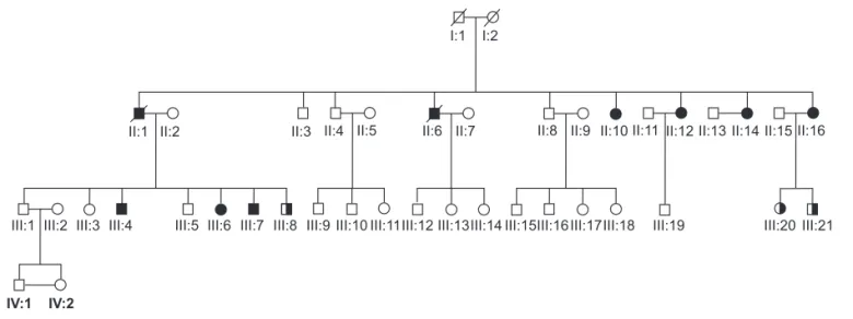 Figure 1.  Pedigree indicating the proposita (arrow). Half-fi lled symbols (III:8 III:20 and III:21) denote the presence of heterozy- heterozy-gous mutation in patients aged 26, 19 and 17 without any clinical or biochemical disease to date.